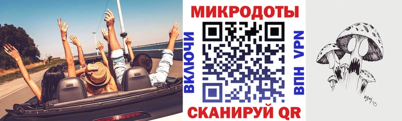 Галлюциногенные грибы Psilocybe  закладка  Южа 